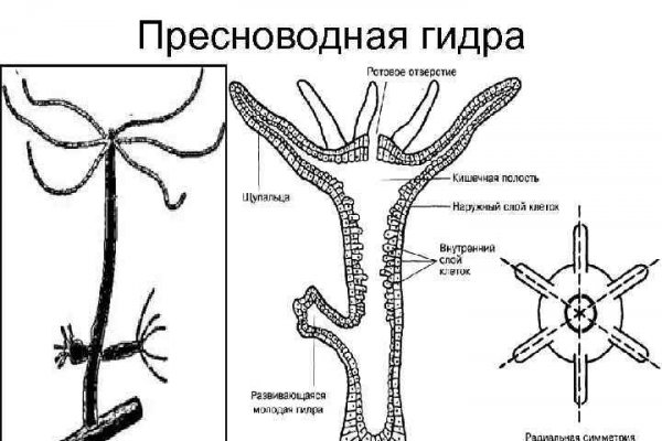 Кракен через браузер